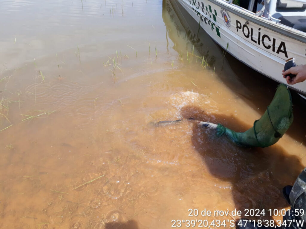 Polícia Ambiental flagra homem realizando pesca ilegal em Ibiúna