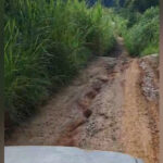 Estrada do Bairro do Carmo, em São Roque, está sem manutenção e moradores pedem ajuda