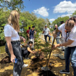 Empresas ampliam práticas ESG e estimulam inovação com sustentabilidade