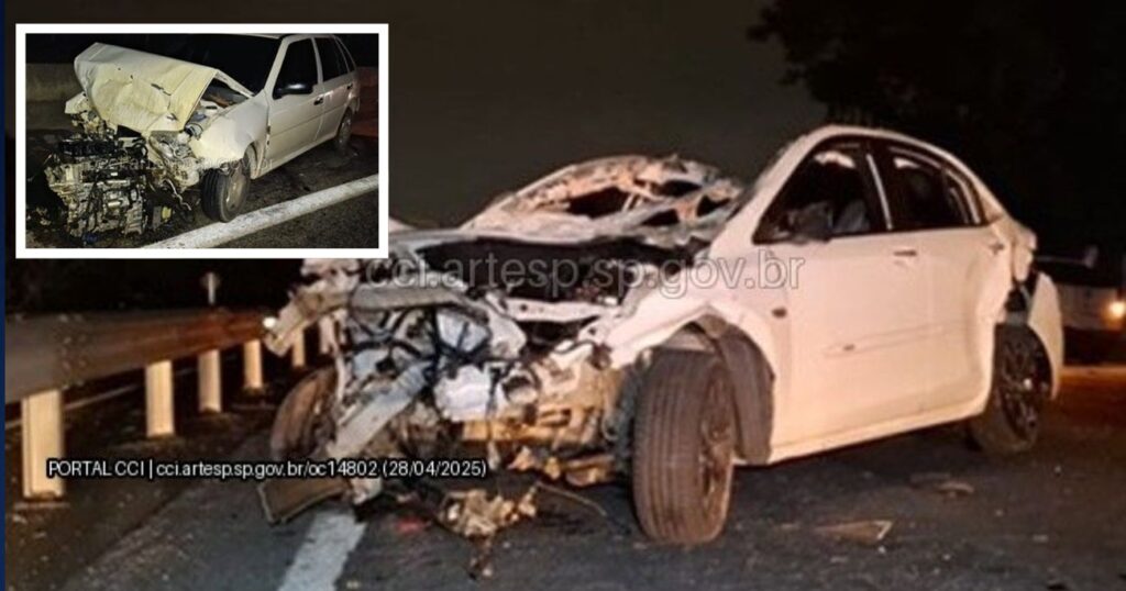 Cavalo invade pista é atropelado e causa morte de uma pessoa em Rodovia em Sorocaba nesta segunda