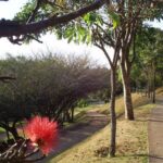 Mulher é encontrada ferida e sem roupas na manhã de quinta (22) em parque de Sorocaba