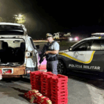 Casal que transportava 175 tijolos de maconha é preso por tráfico de drogas em Capão Bonito