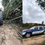 Três motosserras são apreendidas após danos ambientais e fiscalização da GCM de Mairinque