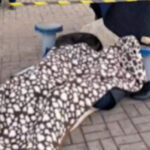 Morador de rua é encontrado morto e pneumonia em estágio avançado é principal causa